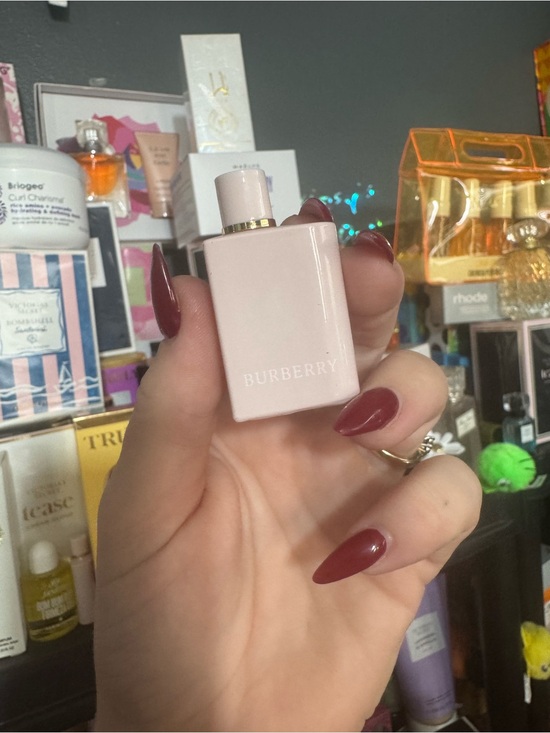Burberry Other - Burberry Pink Mini